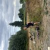 TuS_Triathlon_2026